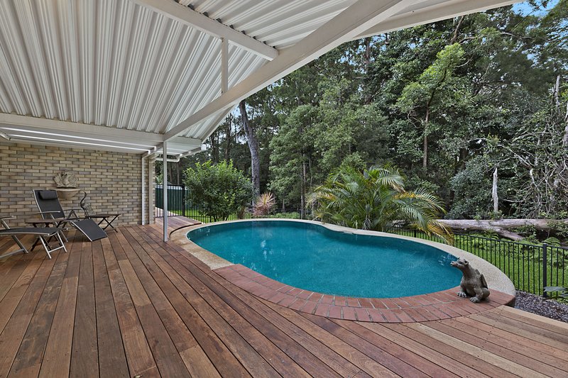 Photo - 31 Possumwood Place, Buderim QLD 4556 - Image 2