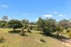 Photo - 31 Raintree Avenue, Burrum Heads QLD 4659 - Image 13