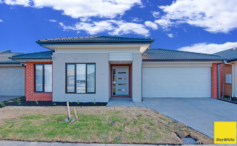 31 Rapa Drive, Tarneit VIC 3029