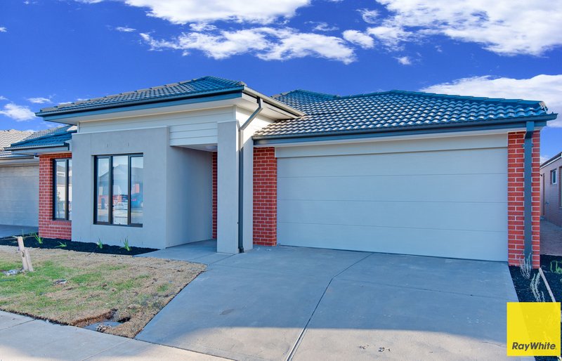 Photo - 31 Rapa Drive, Tarneit VIC 3029 - Image 3