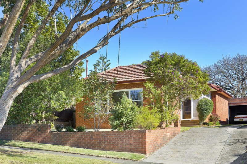 Photo - 31 Rickard Street, Balgowlah NSW 2093 - Image 3