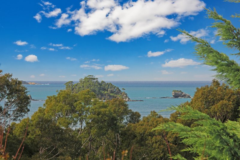 Photo - 31 Ridge Street, Catalina NSW 2536 - Image 2