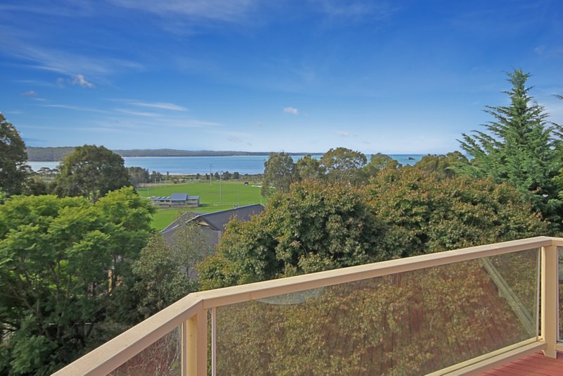 Photo - 31 Ridge Street, Catalina NSW 2536 - Image 3