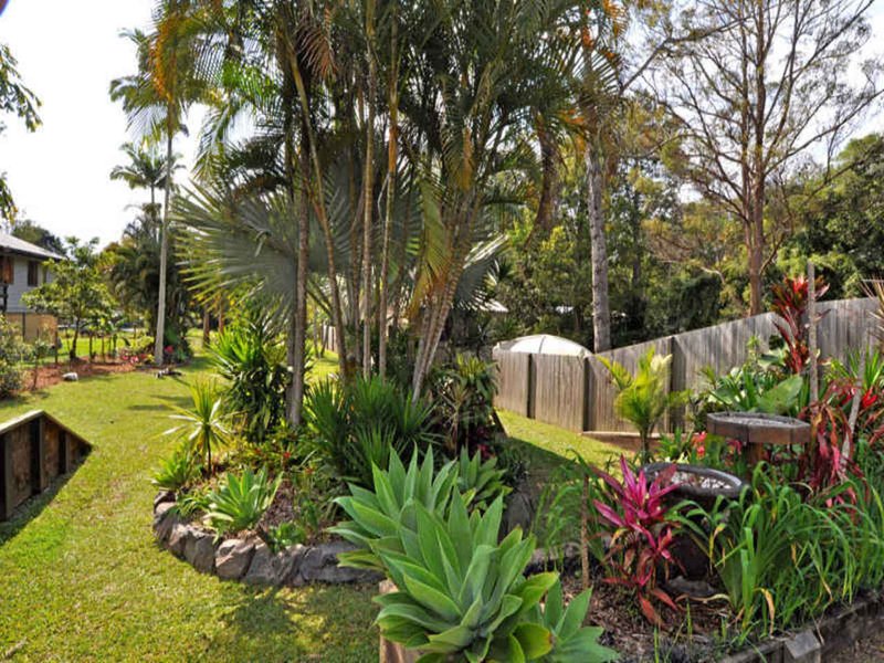 Photo - 31 Rosebed Street, Eudlo QLD 4554 - Image 11