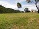 Photo - 31 Roseric Crescent, Hideaway Bay QLD 4800 - Image 2