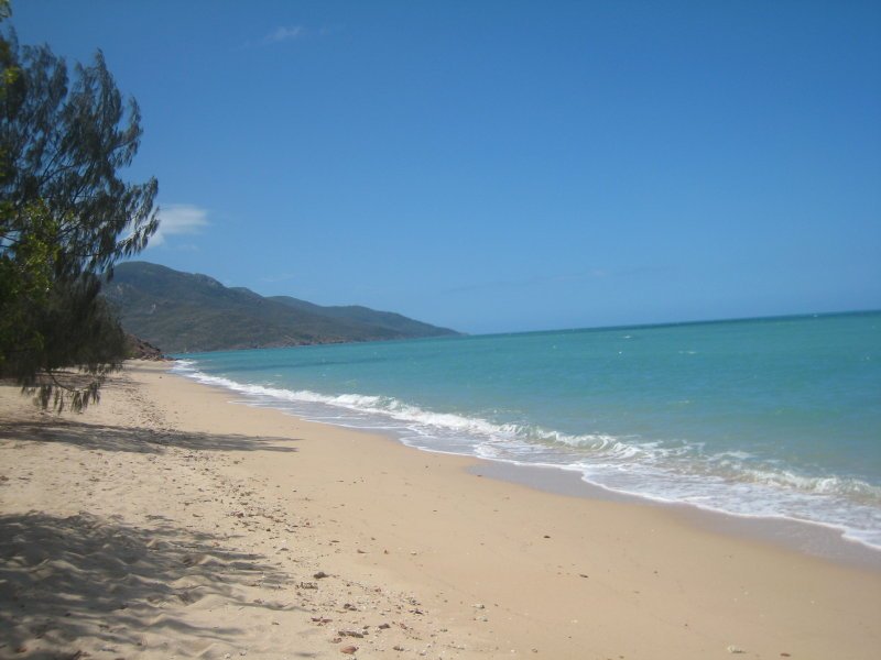 Photo - 31 Roseric Crescent, Hideaway Bay QLD 4800 - Image 3