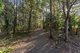 Photo - 31 Santley Street, Mount Gravatt QLD 4122 - Image 22