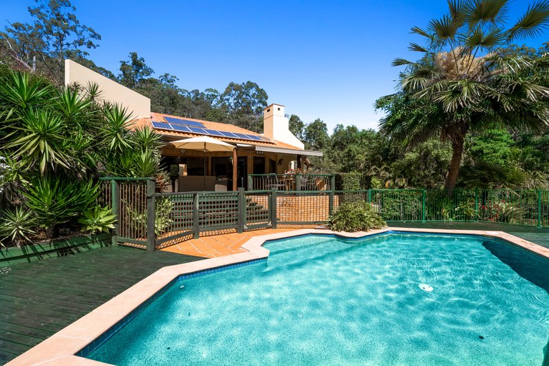 Photo - 31 Shady Grove, Tanawha QLD 4556 - Image 3