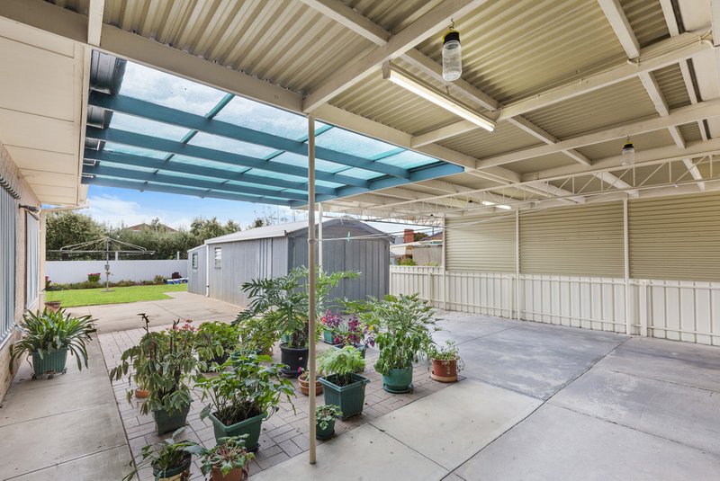 Photo - 31 Shelley Avenue, Netley SA 5037 - Image 14