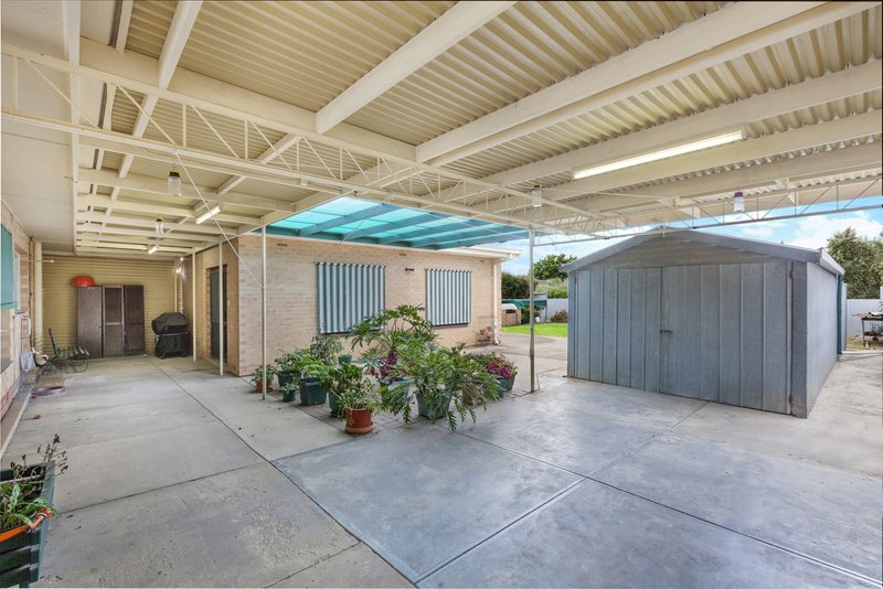 Photo - 31 Shelley Avenue, Netley SA 5037 - Image 15