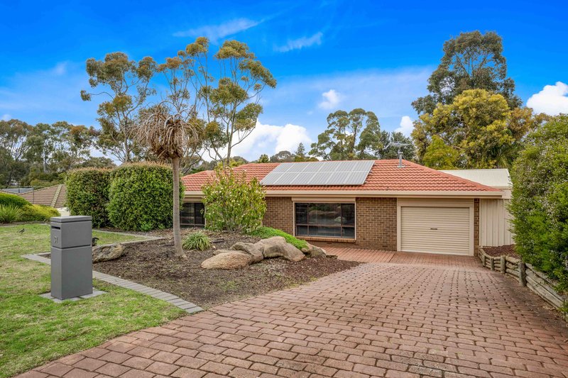 Photo - 31 Sherwood Avenue, Happy Valley SA 5159 - Image 6