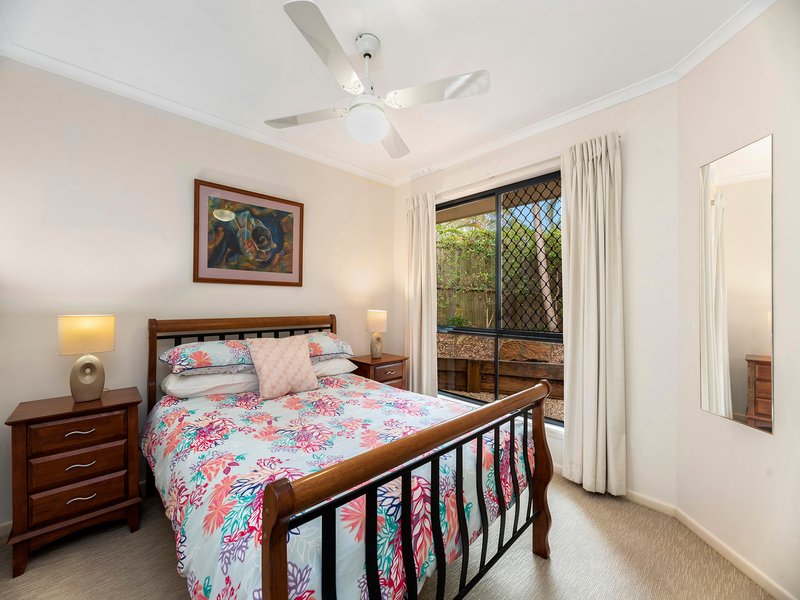 Photo - 31 Starkey Street, Palmwoods QLD 4555 - Image 6