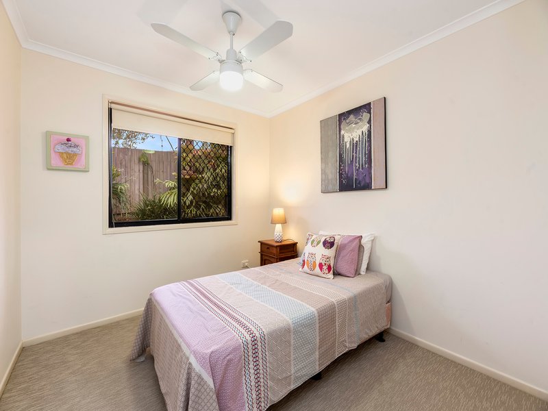 Photo - 31 Starkey Street, Palmwoods QLD 4555 - Image 7