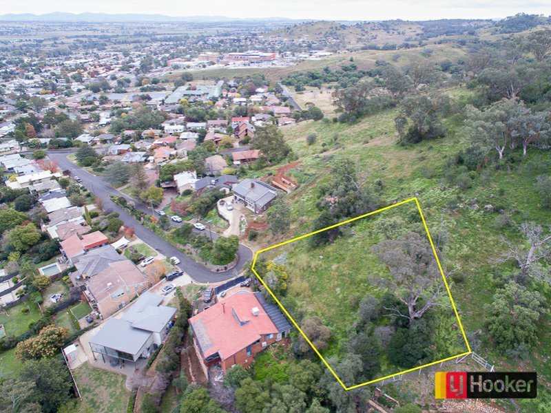 Photo - 31 Terole Avenue, North Tamworth NSW 2340 - Image 3