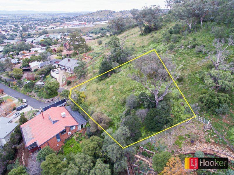 Photo - 31 Terole Avenue, North Tamworth NSW 2340 - Image 4