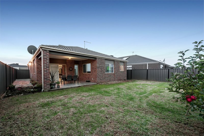 Photo - 31 Thorngrove Avenue, Craigieburn VIC 3064 - Image 11