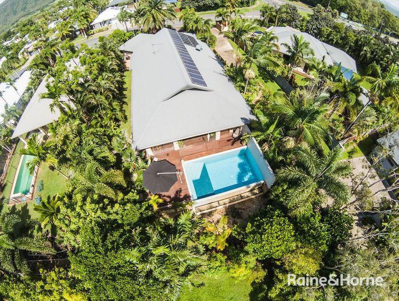 Photo - 31 Ulysses Avenue, Port Douglas QLD 4877 - Image 2