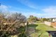 Photo - 31 View Street, Peppermint Grove WA 6011 - Image 12