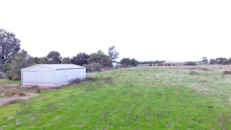 Photo - 31 Vine Avenue, Horsham VIC 3400 - Image 3