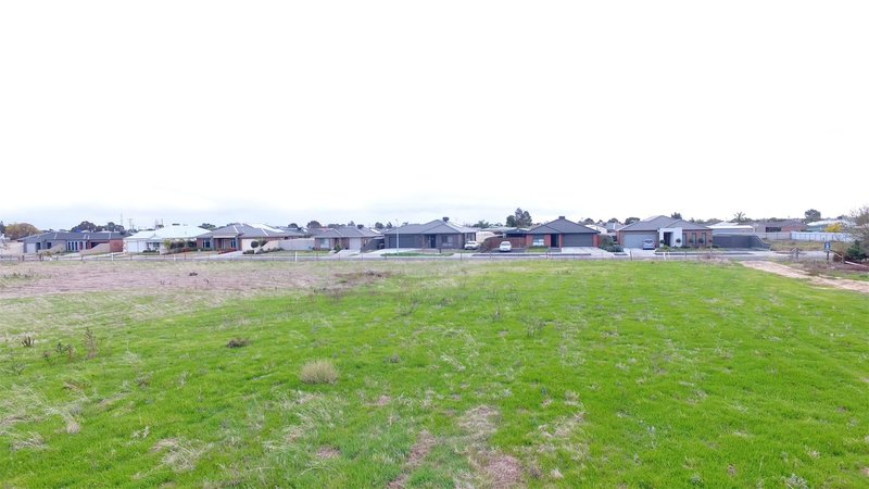 Photo - 31 Vine Avenue, Horsham VIC 3400 - Image 5