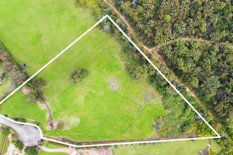 Photo - 31 Walter Road, Ingleside NSW 2101 - Image 2