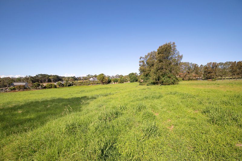 Photo - 31 Walter Road, Ingleside NSW 2101 - Image 6