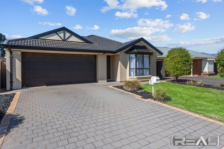 Photo - 31 Wattle Crescent, Munno Para West SA 5115 - Image 3