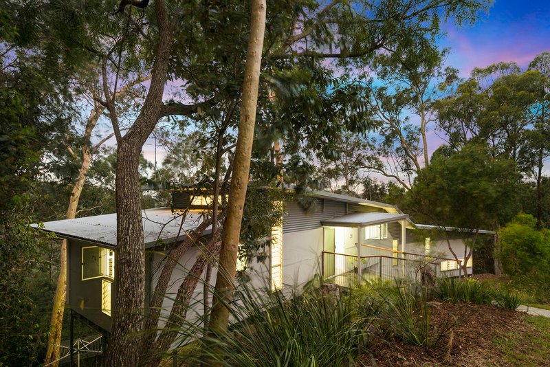 Photo - 31 Wattlebird Court, Currumbin Valley QLD 4223 - Image 17