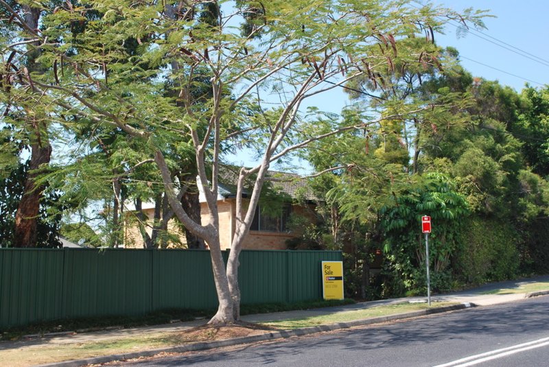 Photo - 31 West High Street, Coffs Harbour NSW 2450 - Image 15