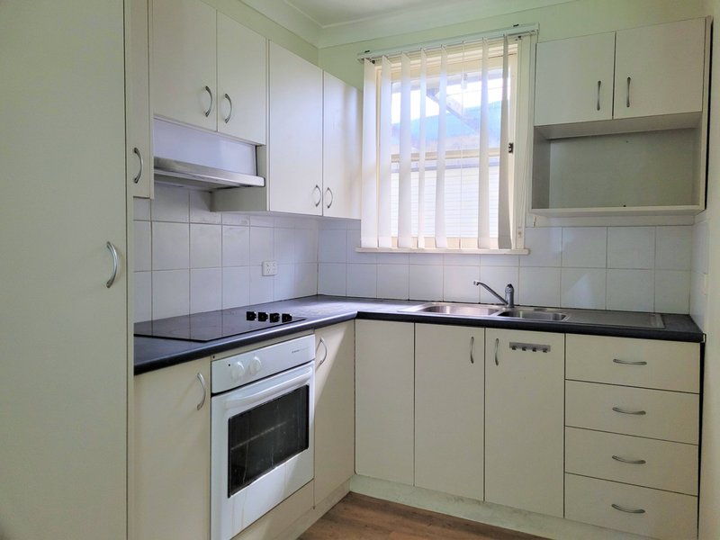 Photo - 31 White Avenue, Singleton NSW 2330 - Image 3