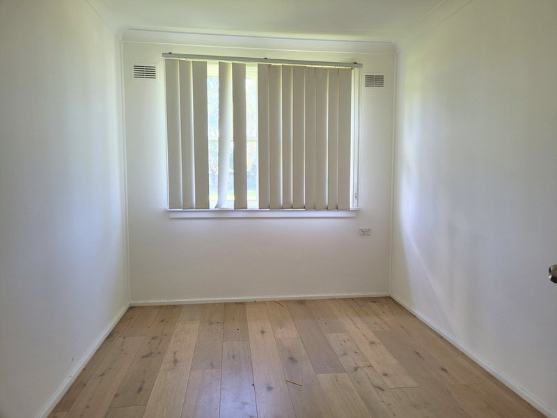 Photo - 31 White Avenue, Singleton NSW 2330 - Image 6