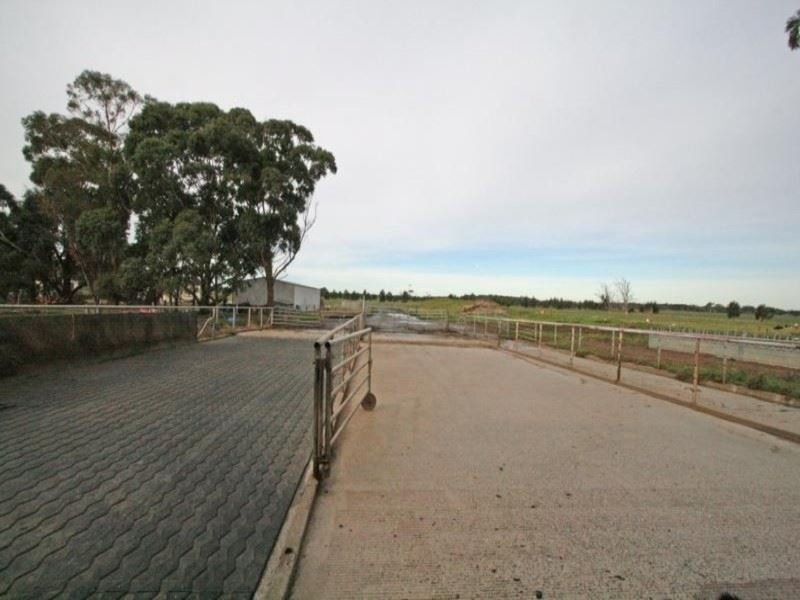 Photo - 310 Kees Road, Yarram VIC 3971 - Image 8