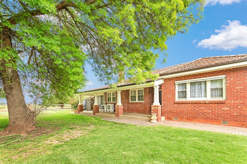 Photo - 310 Lorenz Road, Stanhope VIC 3623 - Image 4