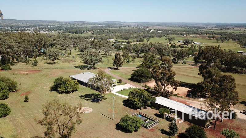 Photo - 310 Swanbrook Road, Inverell NSW 2360 - Image 19