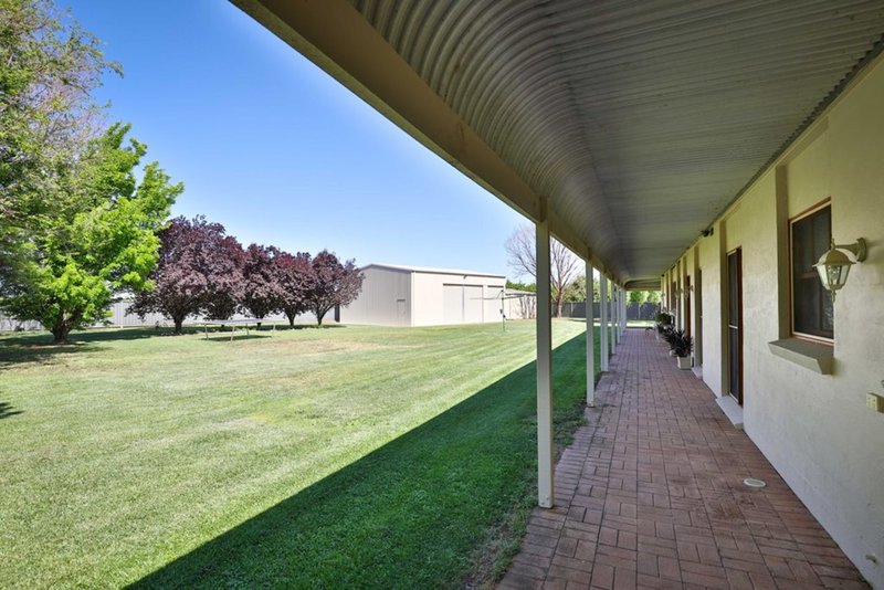 Photo - 3100 Fourteenth Street, Irymple VIC 3498 - Image 14