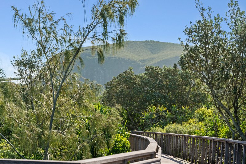 Photo - 3101/27 Boardwalk Boulevard, Mount Coolum QLD 4573 - Image 23