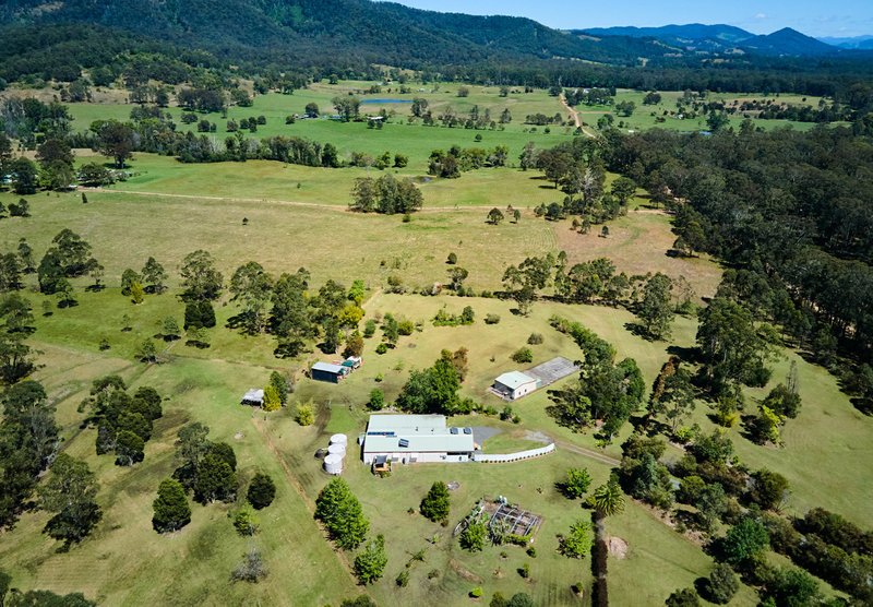 Photo - 311 Careys Road, Hillville NSW 2430 - Image 16