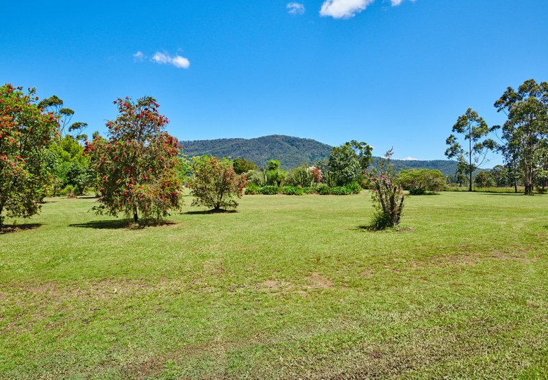 Photo - 311 Careys Road, Hillville NSW 2430 - Image 24