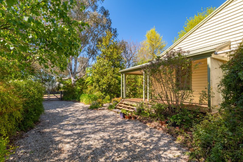 Photo - 3114 Omeo Highway, Tallandoon VIC 3701 - Image 5