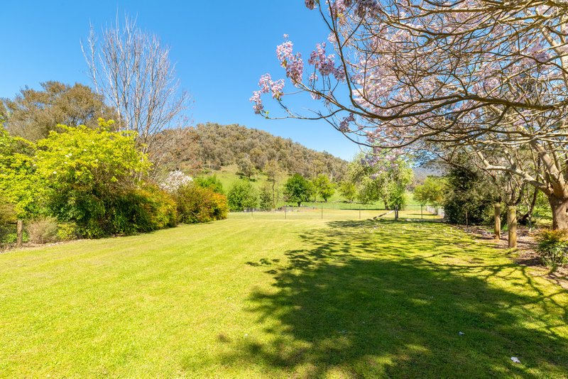 Photo - 3114 Omeo Highway, Tallandoon VIC 3701 - Image 12