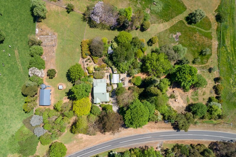 Photo - 3114 Omeo Highway, Tallandoon VIC 3701 - Image 17