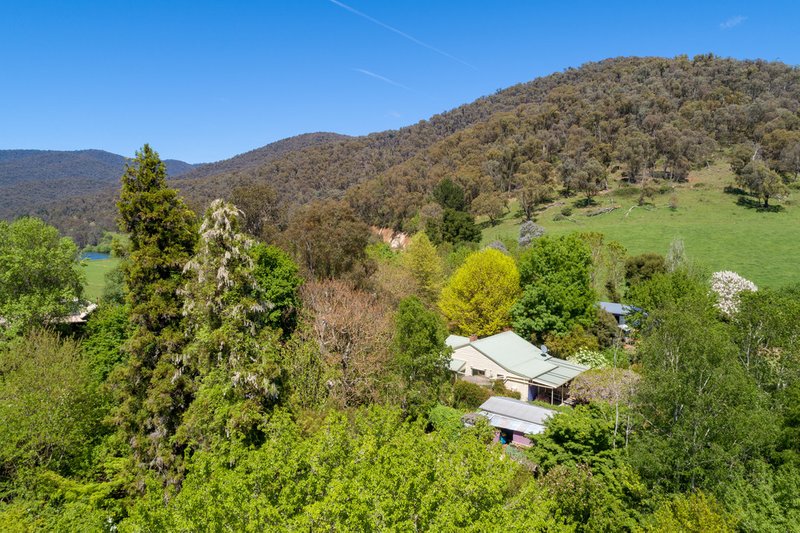 Photo - 3114 Omeo Highway, Tallandoon VIC 3701 - Image 24