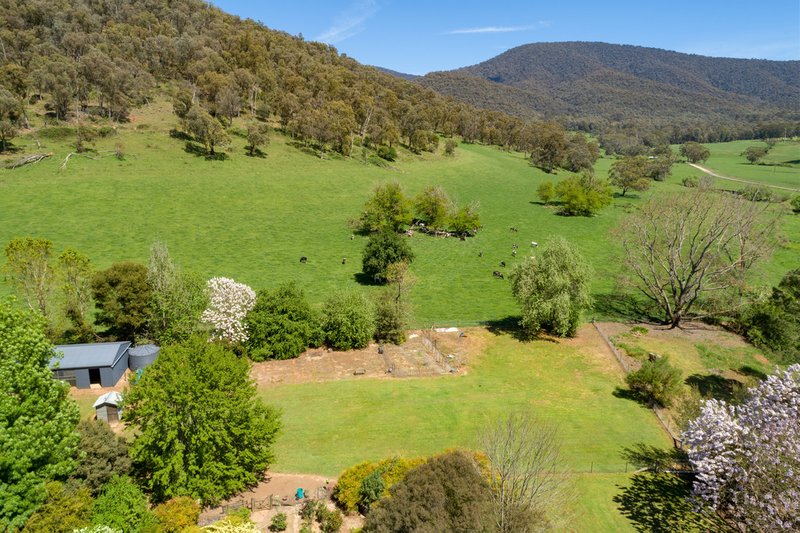 Photo - 3114 Omeo Highway, Tallandoon VIC 3701 - Image 25