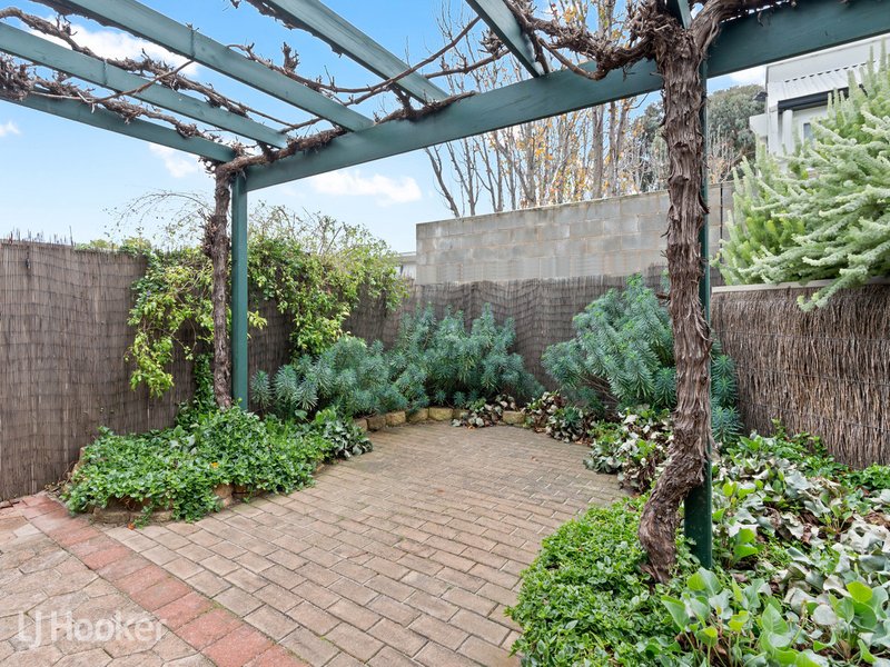 Photo - 3/119 Ashbrook Avenue, Trinity Gardens SA 5068 - Image 13