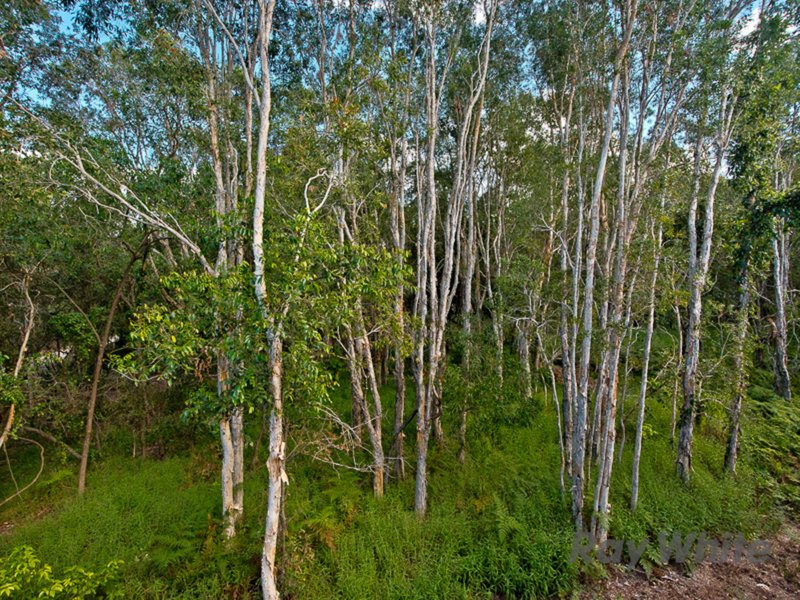 Photo - 31/2-8 Reserve Court, Murrumba Downs QLD 4503 - Image 11