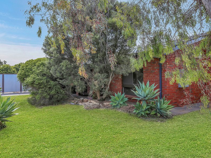 Photo - 3/12 Finchley Street, Clovelly Park SA 5042 - Image 3