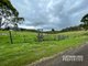 Photo - 312 Widgee Creek Rd , Hillview QLD 4285 - Image 22