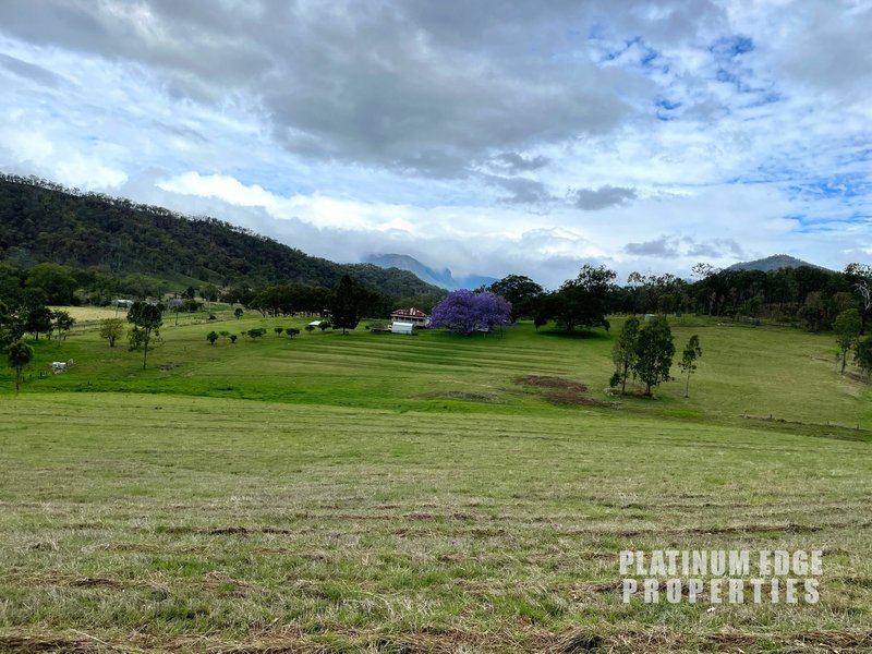 Photo - 312 Widgee Creek Rd , Hillview QLD 4285 - Image 24