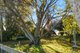 Photo - 312 Wrights Lane, Northdown TAS 7307 - Image 1