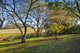 Photo - 312 Wrights Lane, Northdown TAS 7307 - Image 2